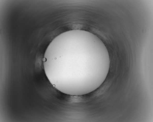 X0000088700240200706141436