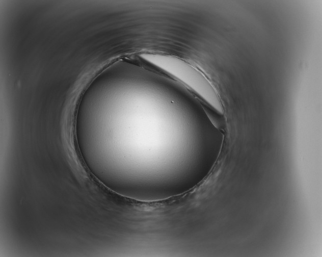 X0000088700241200706141435