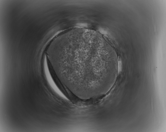X0000088700243200706141435