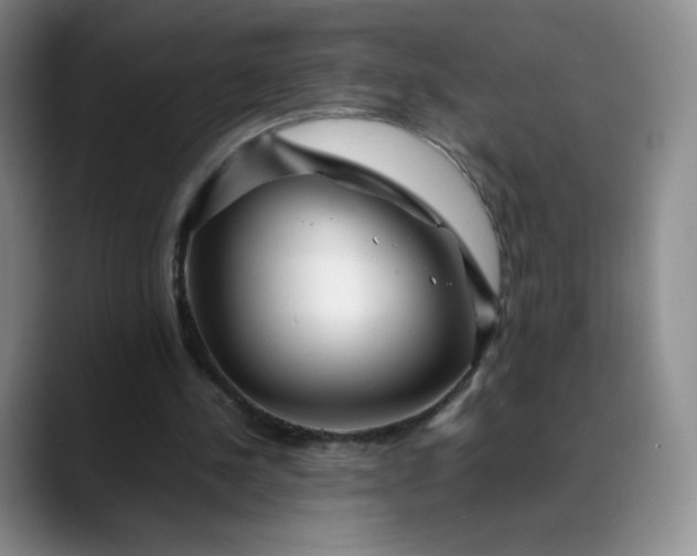 X0000088700244200706141435