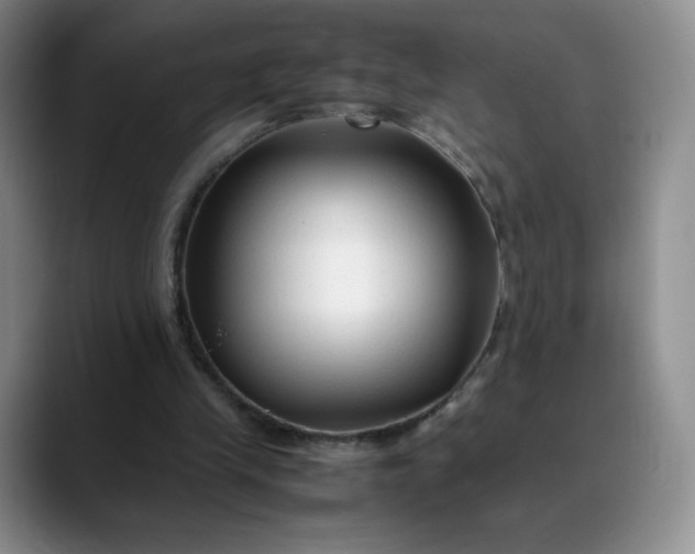 X0000088700245200706141435