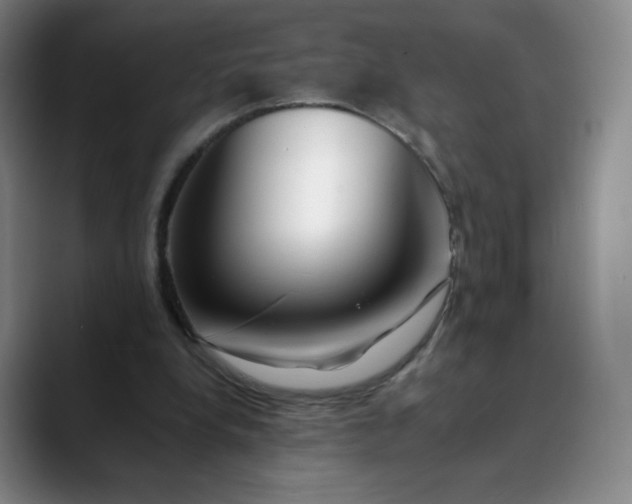 X0000088700248200706141435