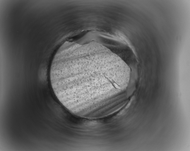 X0000088700249200706141435