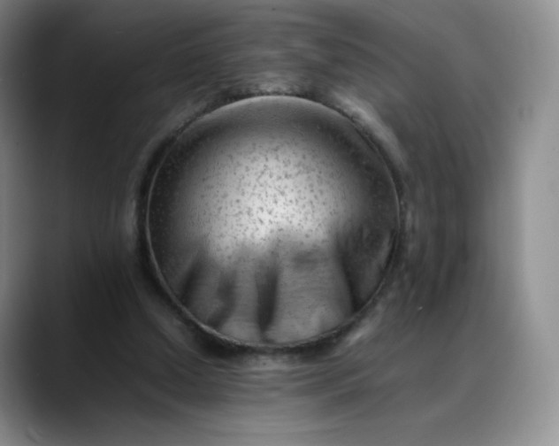 X0000088700250200706141435