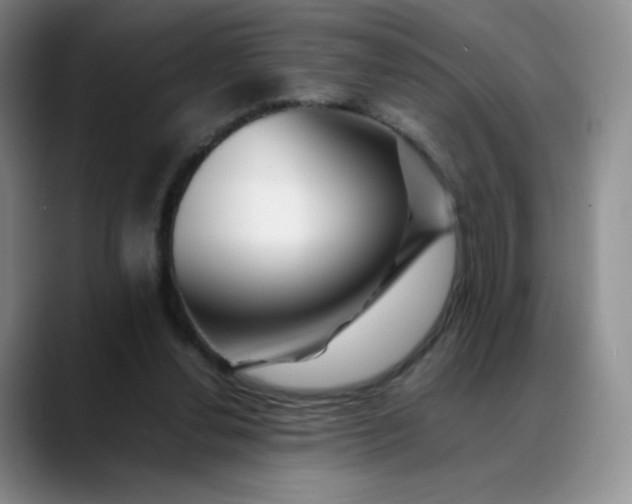 X0000088700252200706141435