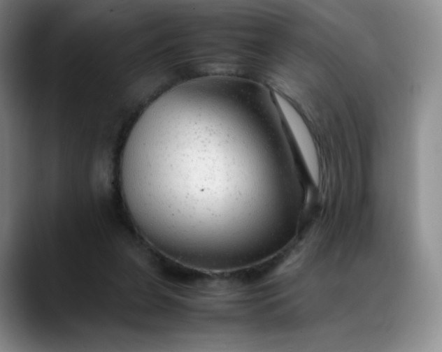 X0000088700255200706141435