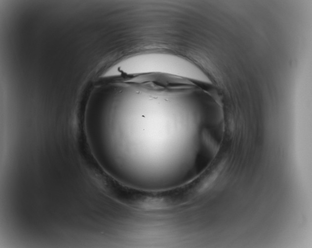 X0000088700256200706141435