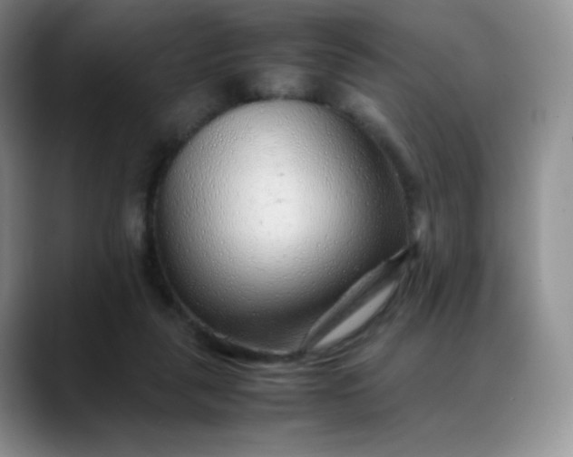 X0000088700259200706141435
