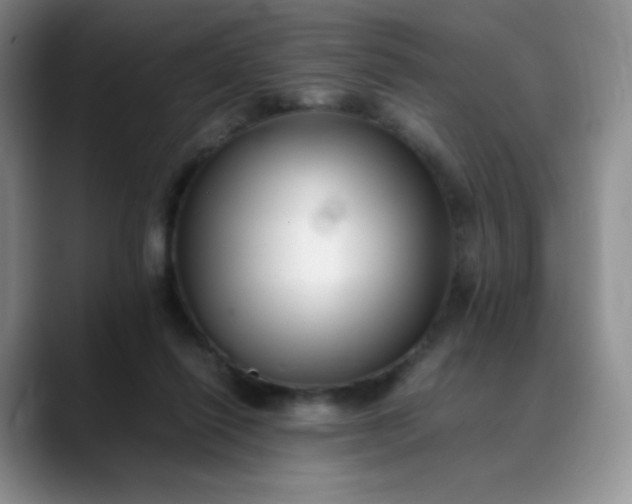 X0000088700262200706141435