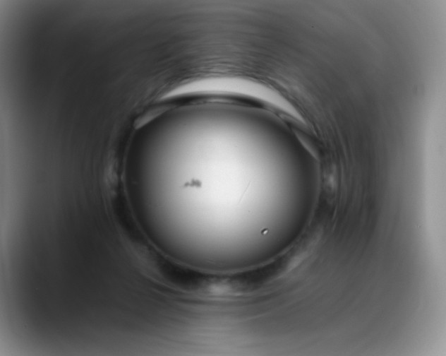 X0000088700264200706141435