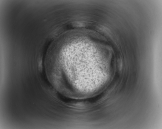 X0000088700267200706141435