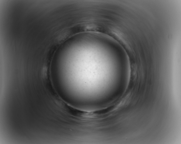 X0000088700269200706141435