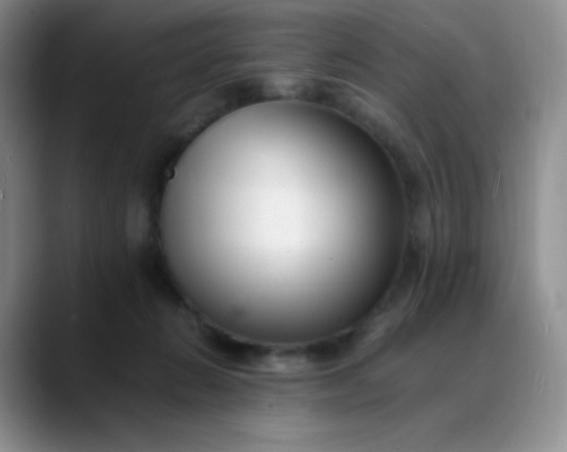 X0000088700270200706141435