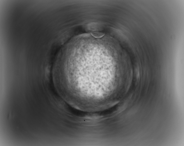 X0000088700271200706141435