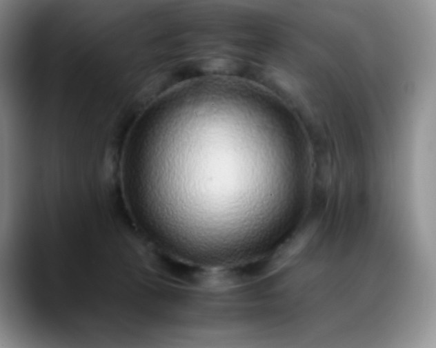 X0000088700273200706141435