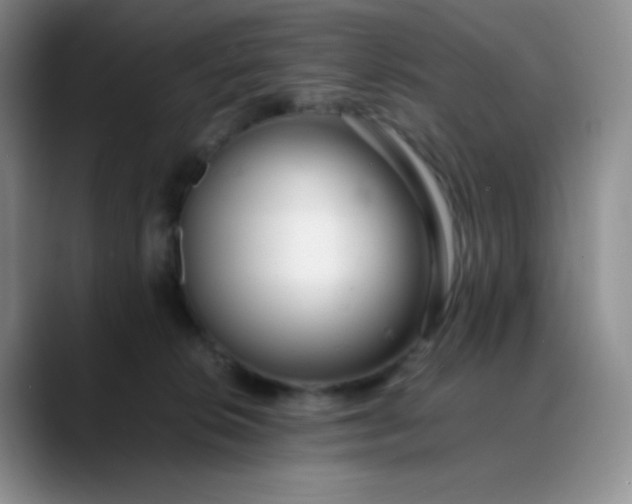 X0000088700276200706141435