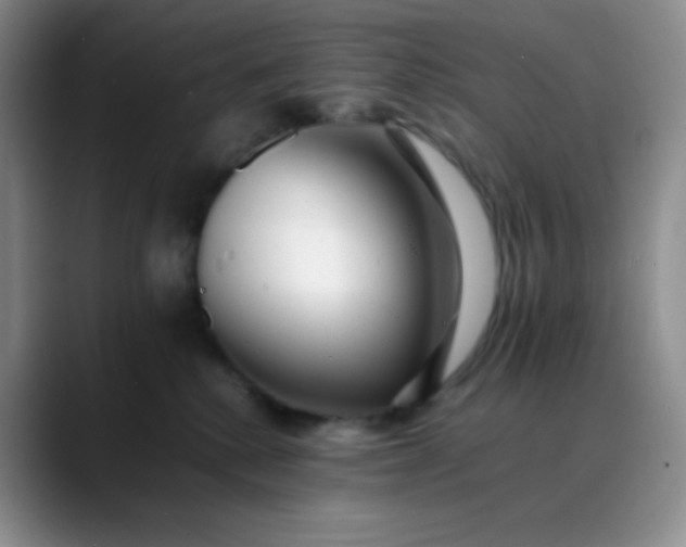 X0000088700280200706141435
