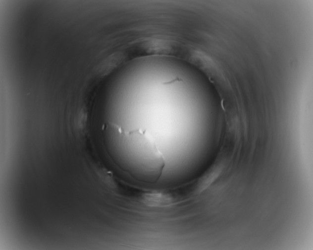 X0000088700281200706141435