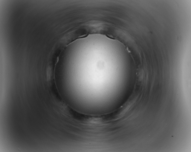 X0000088700283200706141436