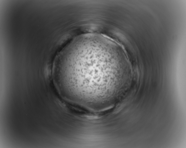 X0000088700284200706141436