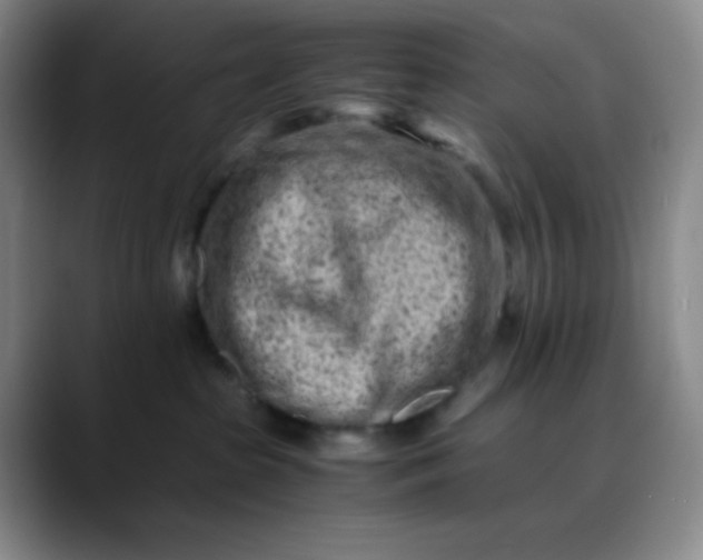 X0000088700285200706141436