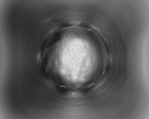 X0000088700286200706141436
