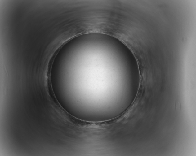 X0000088700290200706141435