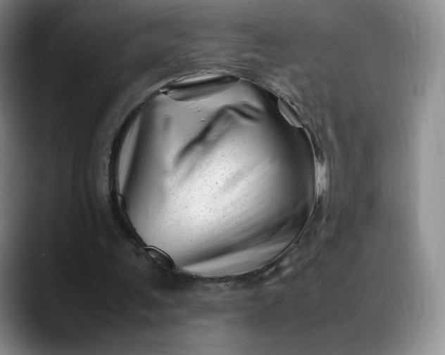 X0000088700291200706141435