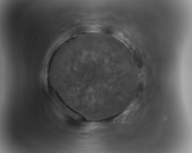 X0000088700293200706141435