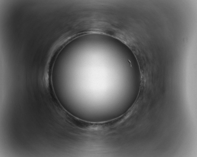 X0000088700294200706141435