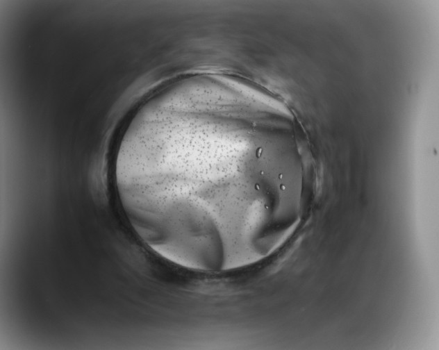 X0000088700296200706141435