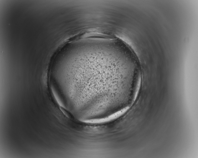 X0000088700297200706141435