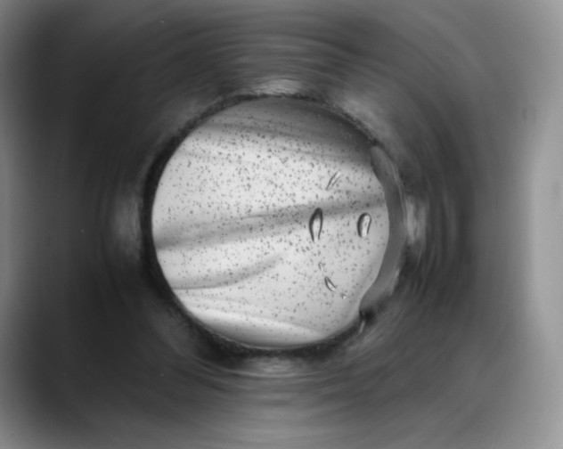 X0000088700300200706141435