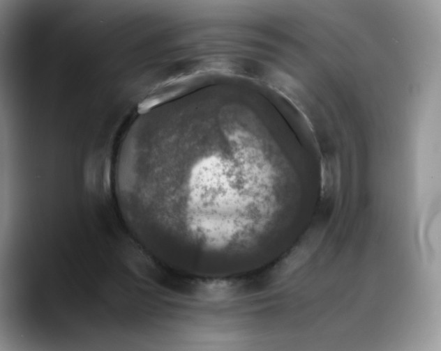 X0000088700301200706141435