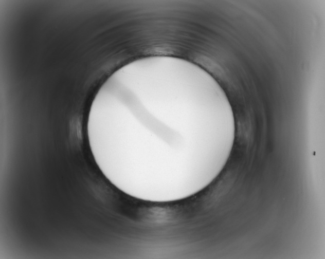 X0000088700302200706141435