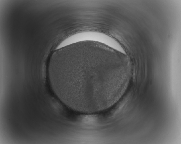 X0000088700303200706141435