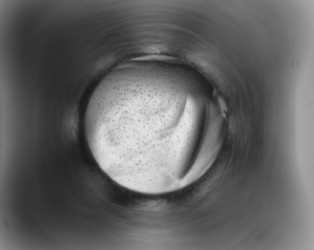 X0000088700304200706141435
