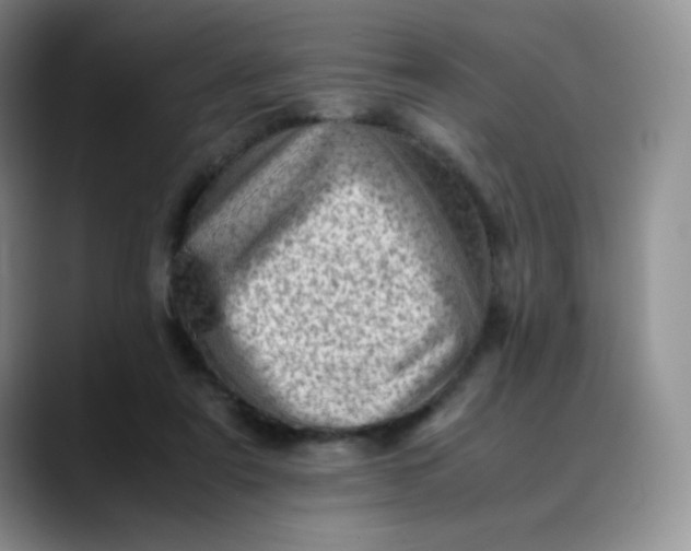 X0000088700307200706141435