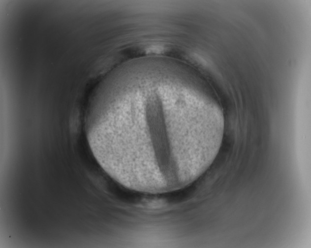 X0000088700311200706141435