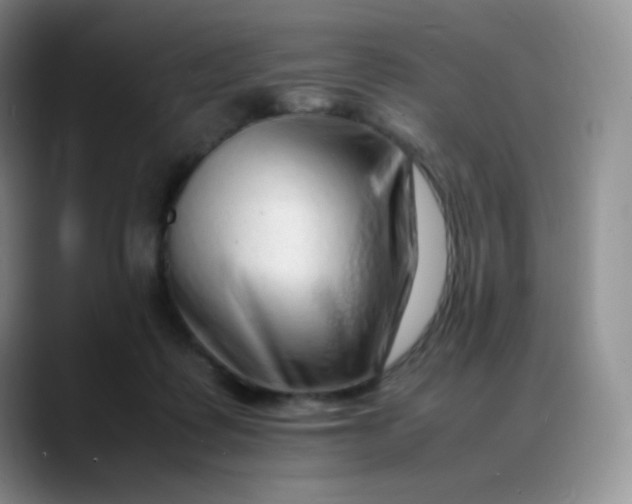 X0000088700315200706141435