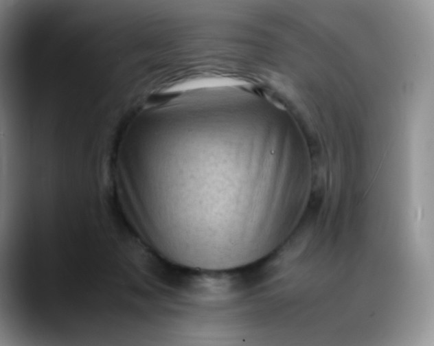 X0000088700317200706141435