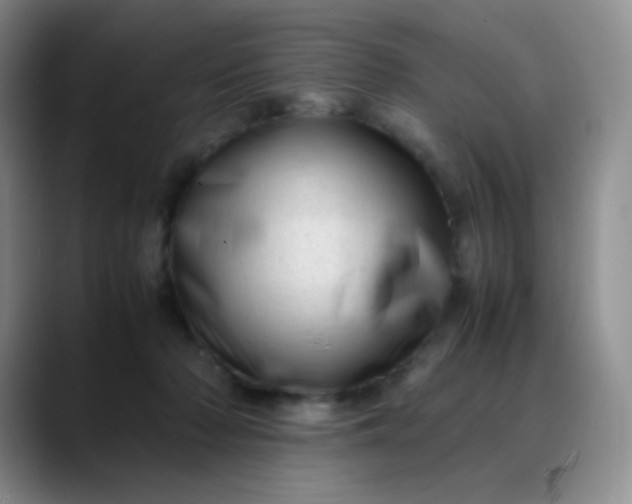 X0000088700318200706141435