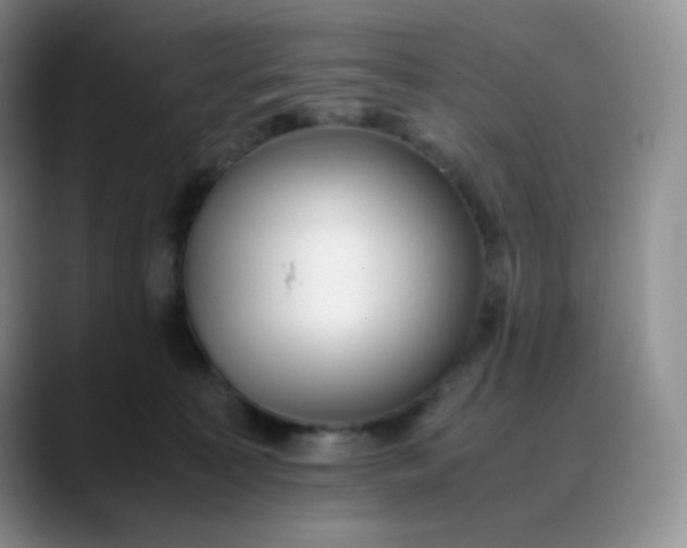 X0000088700323200706141435