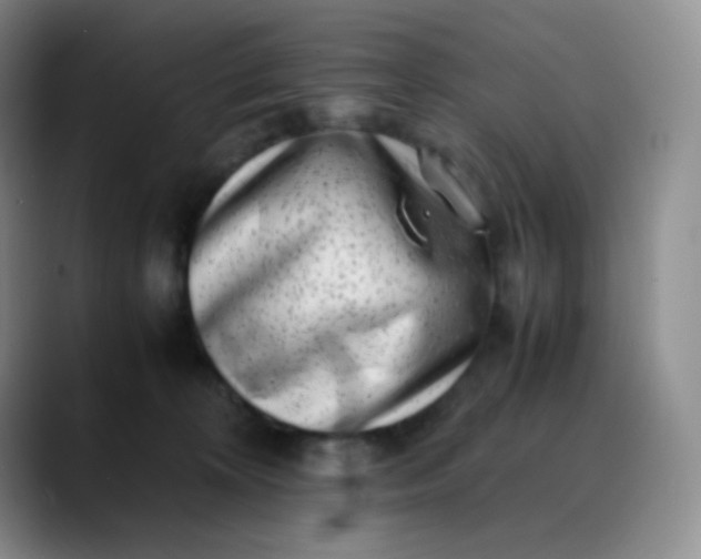 X0000088700324200706141435