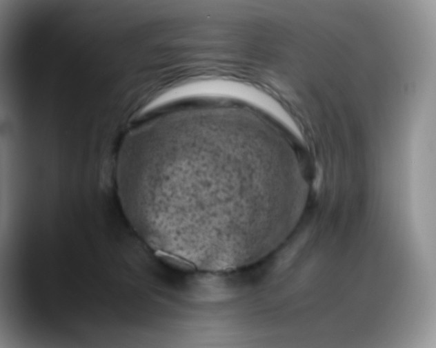 X0000088700325200706141435