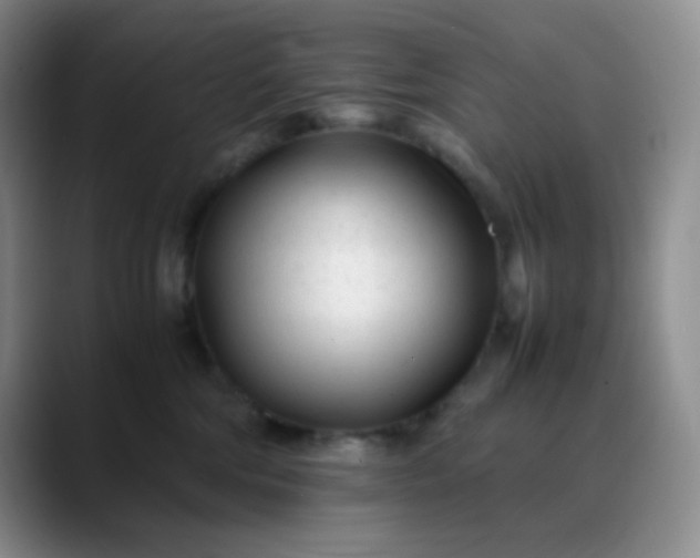 X0000088700330200706141435