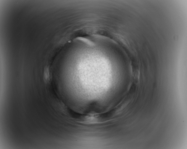 X0000088700335200706141434
