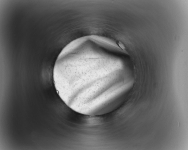 X0000088700336200706141434