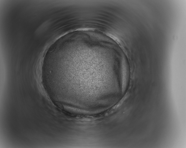 X0000088700337200706141434