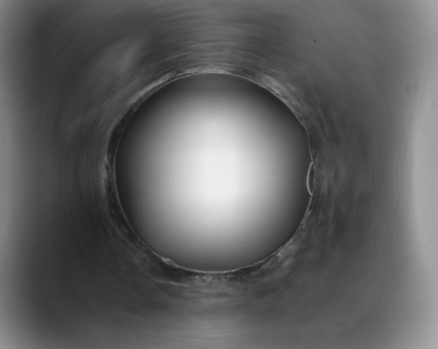 X0000088700338200706141434